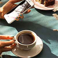 Ai bảo cà phê chỉ tốt cho người? Những con ong được 