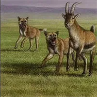 Mộ phần người khác loài và "quái thú" 1,8 triệu tuổi: Lịch sử thay đổi?