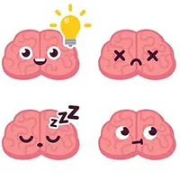 Tại sao lý thuyết 3 não lại ví não người với "não bò sát", "não thú"...
