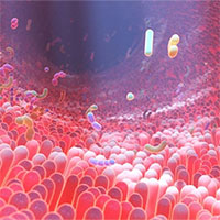 Giải mã bí mật vi khuẩn đường ruột của những người thọ 100 tuổi