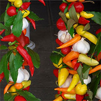 Mẹo bảo quản từng loại thực phẩm trong tủ lạnh