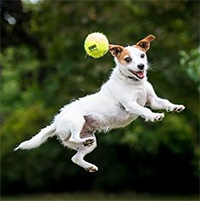 Tại sao trọng lực lại kéo chúng ta xuống thay vì đẩy lên?