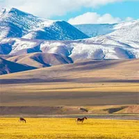 Ngân hàng gene người vùng cao lớn nhất thế giới