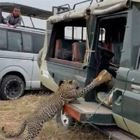 Choáng váng cảnh báo hoang... khều chân du khách