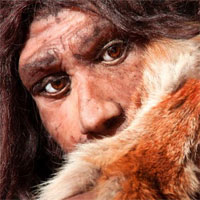 Các nhà nghiên cứu đã giải mã nhóm máu của người cổ Neanderthal và Denisovan