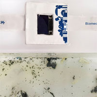 Phát triển thành công đồng hồ thông minh hòa tan trong nước