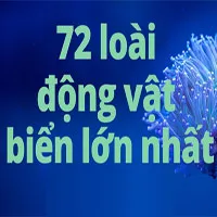 Top 72 loài động vật biển lớn nhất thế giới