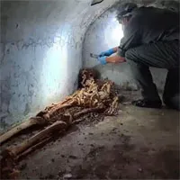 Phát hiện bộ hài cốt được bảo quản tốt chưa từng thấy, làm sáng tỏ nền văn hóa Pompeii cổ đại