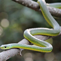 Kinh ngạc với điệu nhảy 