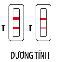 Hướng dẫn tự lấy mẫu test nhanh Covid-19 tại nhà