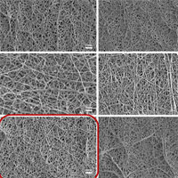 Nhà khoa học Việt chế tạo mạch nhân tạo không gây đông máu