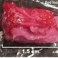 Thịt bò Wagyu in 3D đầu tiên trên thế giới