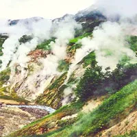 Quân đội vào cuộc, giải mã bí ẩn một số lượng lớn động vật chết ở "Thung lũng chết"