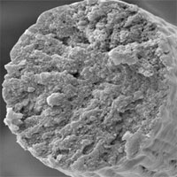 Sợi cơ nhân tạo có thể dùng làm áo chống đạn