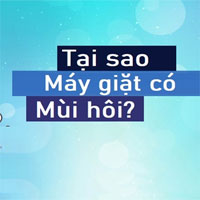 Tại sao lồng máy giặt lại bị hôi?