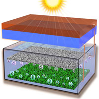 Kỷ lục mới về sản xuất hydro năng lượng mặt trời