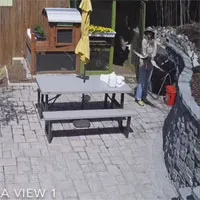 Video: Diều hâu sà xuống tấn công gà lông lụa thì bị cô chủ nhà tóm gọn, số phận nó sẽ đi về đâu?