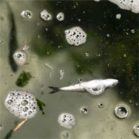 Lời cảnh báo từ hàng loạt con trai bị nắng nóng nướng chín tới bật vỏ