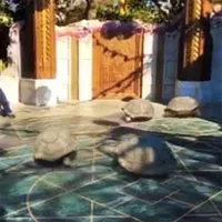Video: Sự thật đáng kinh ngạc đằng sau video rùa chạy như "dân tổ lái"