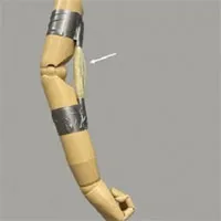 "Cơ bắp" polymer có thể nâng vật nặng gấp 5.000 lần