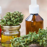 Cảnh báo hợp chất cần sa trong thực phẩm gây ngộ độc