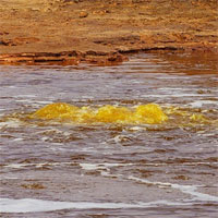 Hồ mặn nhất thế giới, không ai dám tới gần vì lý do này