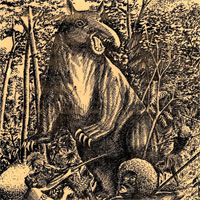 Huyền bí loài heo quỷ trong truyền thuyết ở Papua New Guinea