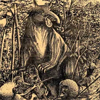 Huyền bí loài heo quỷ trong truyền thuyết ở Papua New Guinea