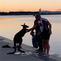 Chuột túi nắm tay cảm ơn người đã cứu sống, giúp nó thoát khỏi tử thần