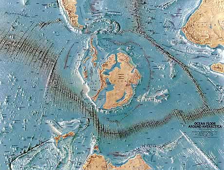 Khám phá các dạng sự sống mới ở Nam Đại Dương