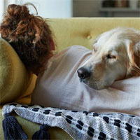 Chuyên gia trị liệu Mỹ hướng dẫn cách cải thiện giấc ngủ, củng cố sức khỏe cảm xúc