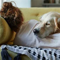 Chuyên gia trị liệu Mỹ hướng dẫn cách cải thiện giấc ngủ, củng cố sức khỏe cảm xúc