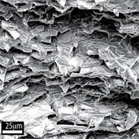 Các nhà khoa học phát triển loại kính không vỡ lấy cảm hứng từ vỏ sò