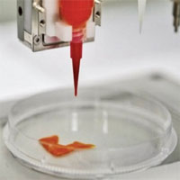 Trung Quốc nghiên cứu chế tạo thịt lợn nhân tạo giá rẻ