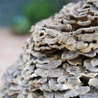 Được trả tiền tỷ để mua lại vật thể khổng lồ, lão nông khiến cả làng ngơ ngác khó hiểu vì hành động lạ