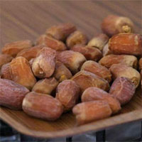 Cây chà là trồng từ hạt giống 2.000 năm tuổi đã đơm hoa kết trái