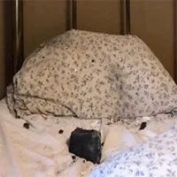 Thiên thạch xuyên qua mái nhà, "hạ cánh" trên gối ngủ và cái kết may mắn cho chủ nhà