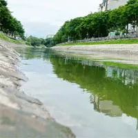 Ảnh cận cảnh dòng nước xanh ngắt hiếm thấy tại sông Tô Lịch, cá bơi 'nhộn nhịp' hàng đàn