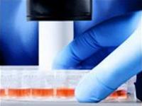 Thêm một nhà nghiên cứu bị phát hiện làm giả nghiên cứu tế bào mầm