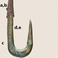 12.000 năm trước, con người đã thuần thục kỹ nghệ câu cá với lưỡi câu, quả nặng và mồi giả tiên tiến