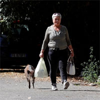 Lợn rừng tràn vào, xâm chiếm các khu phố ở Rome