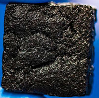 Phân bò giúp lọc nước biển thành nước tinh khiết