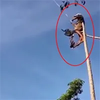 Cư dân mạng tròn mắt khi xem video người đàn ông trổ tài "câu chim" trên trời
