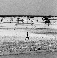 Hồ nước hóa thành sa mạc vì biến đổi khí hậu