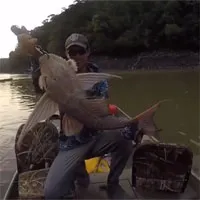 Video: Thả câu dưới sông, người đàn ông bất ngờ kéo lên một sinh vật có "khuôn mặt quỷ"