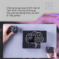 Đây là cách não bộ tạo ra "bạn", tâm trí hay linh hồn của bạn
