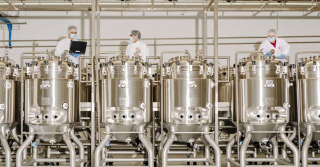 Nhà máy sản xuất 22.600 kg thịt nhân tạo mỗi năm
