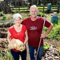 Choáng váng phát hiện ra củ khoai tây khủng nặng 8kg trong vườn nhà