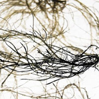 Nghiên cứu phát triển rễ cây có khả năng dẫn điện