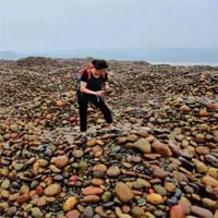 Vì sao dân Trung Quốc đổ xô săn "Ngọc Trường Giang"?